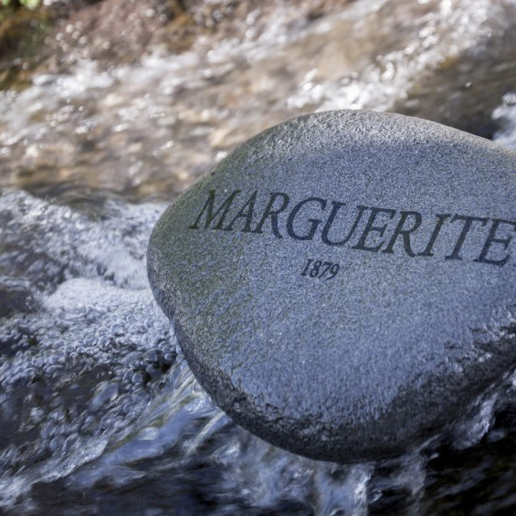 15066304462_99ce1d0be4_o