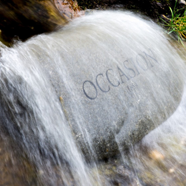 14880083518_ae45fc58f5_o