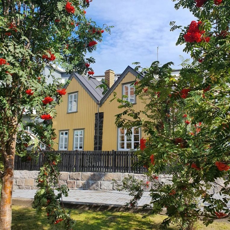 69403082_2181667895278841_1498548234564403200_n